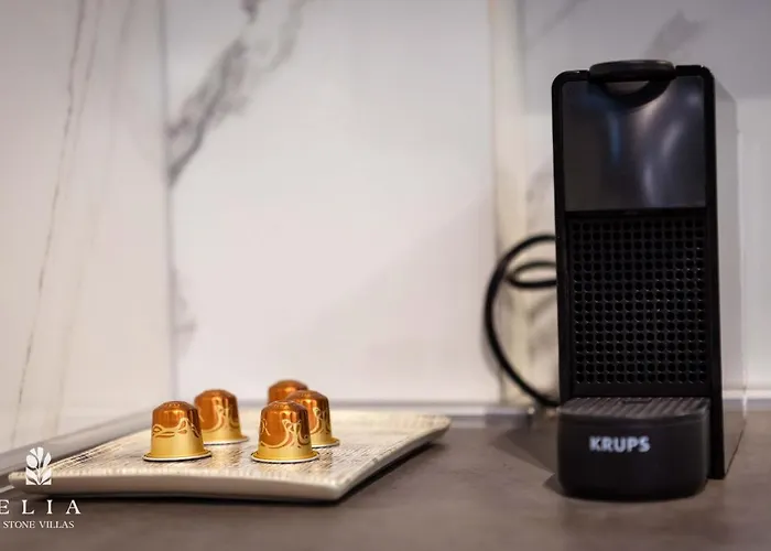 Elia Stone Βίλα Όρμος Πρίνου