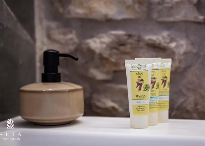 Βίλα Elia Stone *